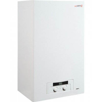 Газовый дымоходный котел Protherm LYNX 24 ВА (Рысь)