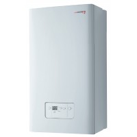 Газовый дымоходный котел Protherm Gepard 23 MOV (Гепард)