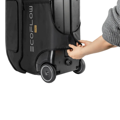 Сумка EcoFlow DELTA Pro Bag